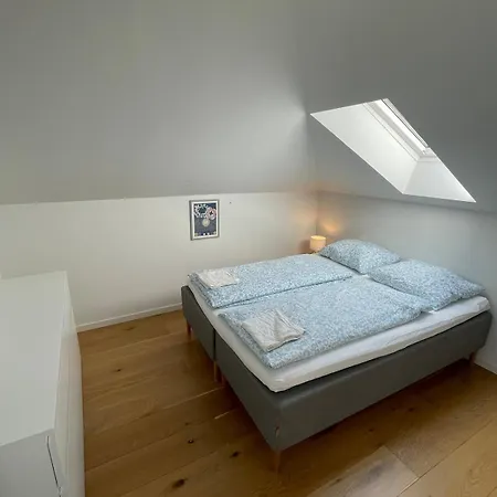 Luxury In The Embassy-area In Apartman Hellerup